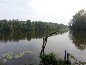 Jezioro Rokola
