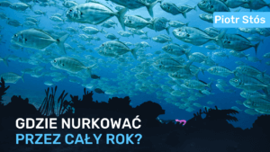 Gdzie nurkować przez cały rok? - Piotr Stós