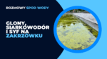 Syf, smród, glony i siarkowodór na Zakrzówku! - Artur Sobesto, Marcin Jastrzębski